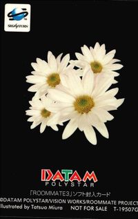 カード ROOMMATE 3 ルームメイト キラ 井上涼子 非売品 ゲーム セガ DATA M サムネイル 2