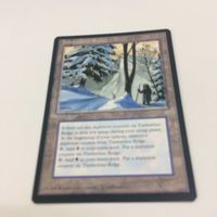MTG マジックザギャザリング カード検閲15 カード仔熊17 カード高木限界の峰12 カード狩人スリヴァー25 サムネイル 3