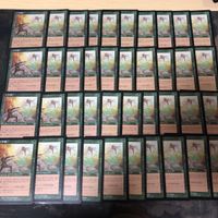 ムチ絹 Whip Silk 40枚 型番統一 INV インベイジョン 日本語 JP まとめ 旧枠 MTG