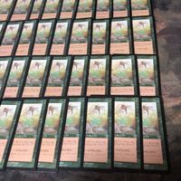 ムチ絹 Whip Silk 40枚 型番統一 INV インベイジョン 日本語 JP まとめ 旧枠 MTG サムネイル 5