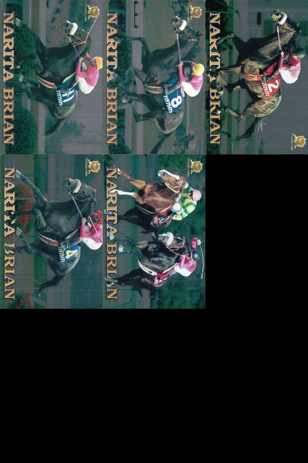 競馬 カード ナリタブライアン まとめ キラ ホロ G ホースレーシング サラブレッドカード