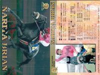 競馬 カード ナリタブライアン まとめ キラ ホロ G ホースレーシング サラブレッドカード サムネイル 5