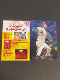 Calbee 2018 Booster 3 Gold Foil S-56 Lucky Card