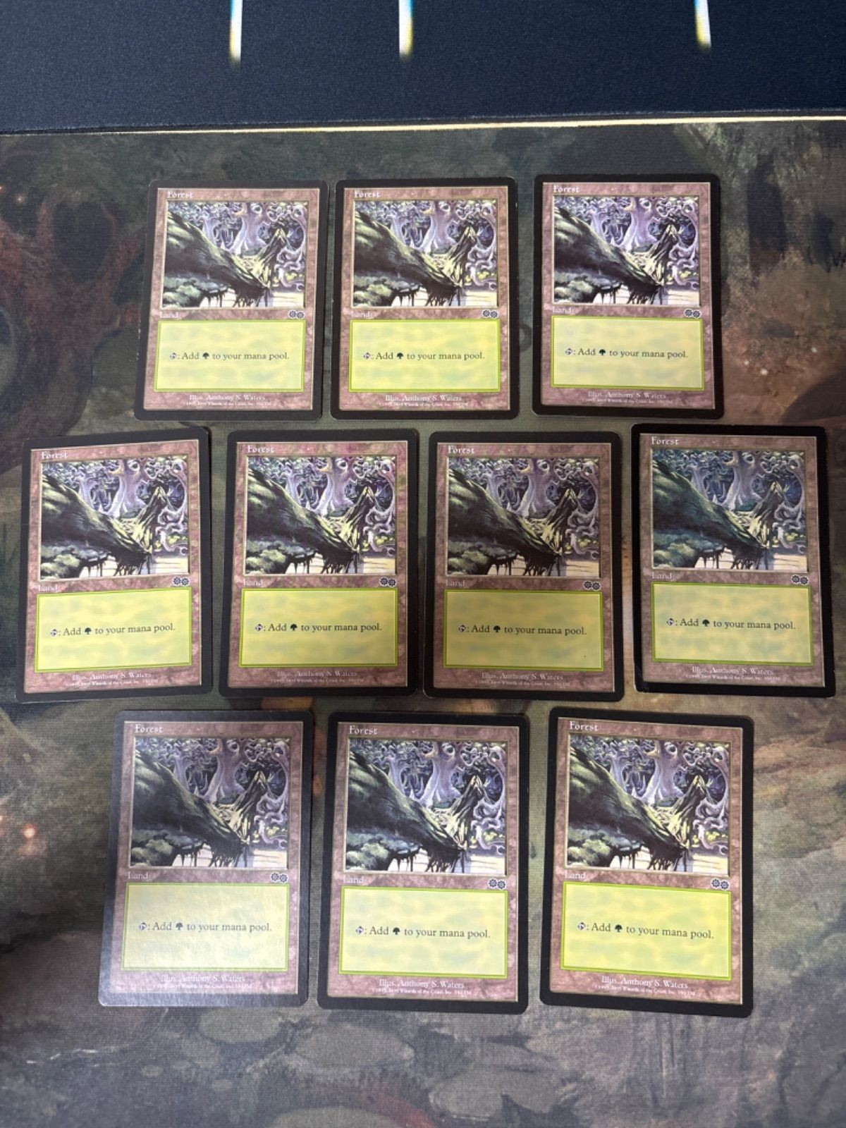 森/Forest ウルザズ・サーガ 10枚 型番統ー まとめ 人気絵柄 基本土地 大量 USG 英語版 EN MTG