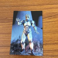 仮面ライダー カード まとめ 1 サムネイル 6