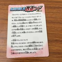 カード トレカ まとめ ロックマンエクゼ4 改造カード ロックマンカラー変更 ゲートマン PET画面カラー変更 27 サムネイル 8