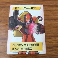 カード トレカ まとめ ロックマンエクゼ4 改造カード ロックマンカラー変更 ゲートマン PET画面カラー変更 27 サムネイル 7