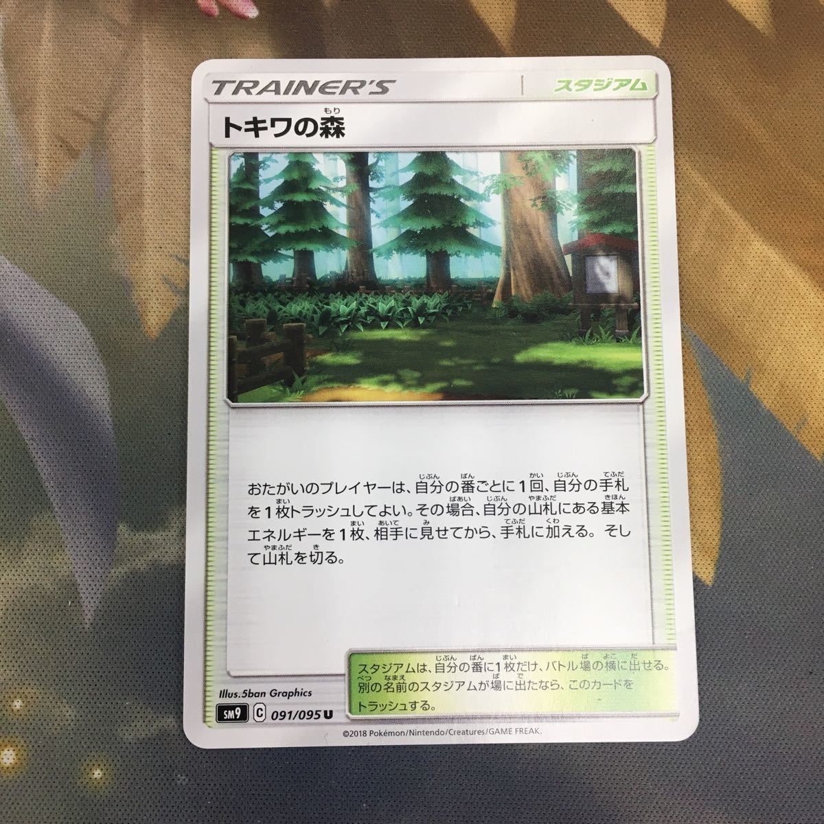 ポケモンカード 新裏面 1枚 トキワの森 トレーナーカード 35