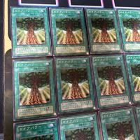 ガイアパワー 2期 型番統一 20枚 PS 遊戯王 ノーマル 初期 サムネイル 2