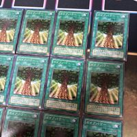 ガイアパワー 2期 型番統一 20枚 PS 遊戯王 ノーマル 初期 サムネイル 3