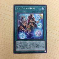 遊戯王 字レア カード トレーディングカード アマゾネスの秘術 まとめ サムネイル 4