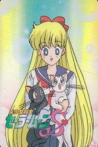 セーラームーン S カード 森永 りれき書 履歴書 愛野美奈子 5 セーラーヴィーナス ヴィーナス 5 モリナガ MORINAGA