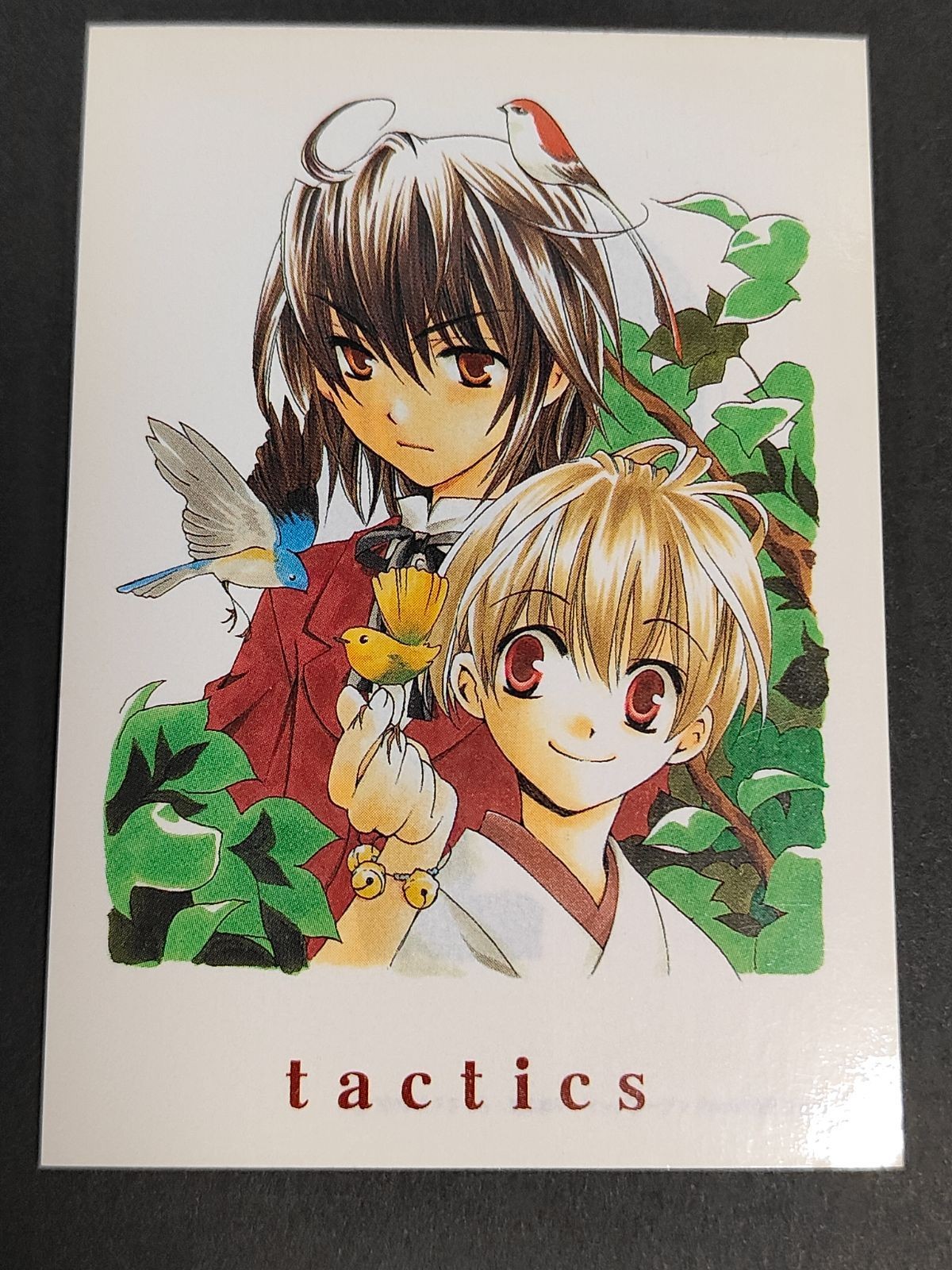 『tactics』(タクティクス) 木下さくら 東山和子 カード 一ノ宮勘太郎