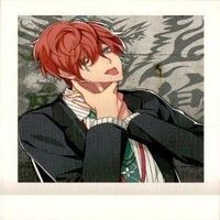 カード ヒプノシスマイク ぱしゃこれ ９枚 まとめ 観音坂独歩 入間銃兎 いるま じゅうと サムネイル 4