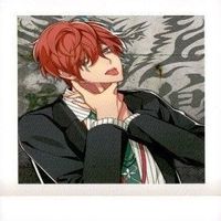 カード ヒプノシスマイク ぱしゃこれ ９枚 まとめ 観音坂独歩 入間銃兎 いるま じゅうと サムネイル 3