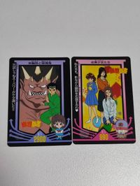 カード 幽遊白書 美少女たち カード 浦飯 温子 雪村螢子 桑原