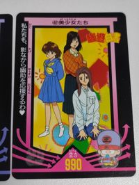カード 幽遊白書 美少女たち カード 浦飯 温子 雪村螢子 桑原 サムネイル 2