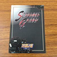 カード トレカ まとめ スクランブルギャザー ボチューン バストール ズワァース ビアレス ビランビー 62 サムネイル 6