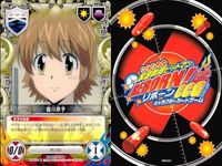 カード 家庭教師ヒットマン REBORN! リボーン まとめ ヒバード 笹川 京子 雲雀 恭弥 嵐 サソリ スコーピオン グロ キシニア スカル キャラクター CCG サムネイル 2