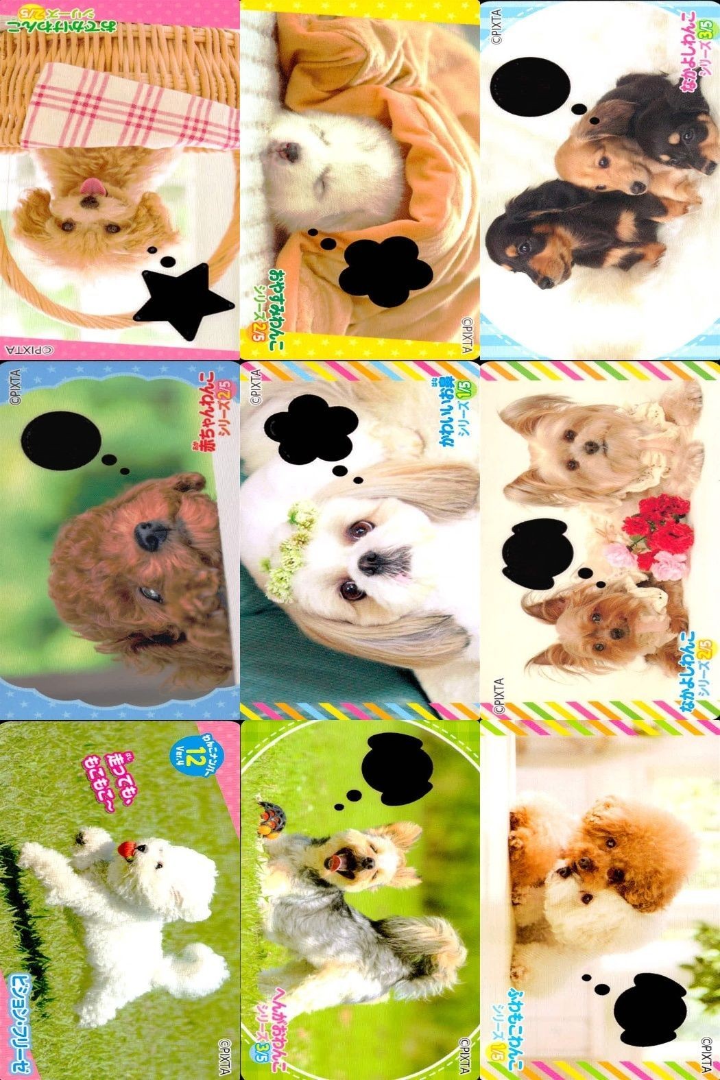 Dog Cat Wanko Card Lot PIXTA Animals Pet Japanese Cards