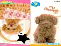 Dog Cat Wanko Card Lot PIXTA Animals Pet Japanese Cards サムネイル 2