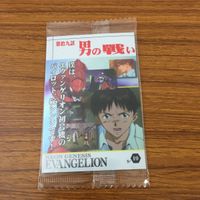 カード トレカ まとめ 新世紀 エヴァンゲリオン エヴァ 未開封 ネルフ 誕生 心のかたち人のかたち 男の戦い 碇 シンジ 1 サムネイル 9