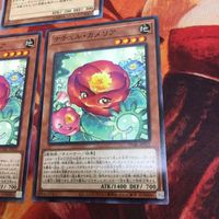 IT220905-2372 ナチュル・ナーブ DTノーマル DTC1-JP060 遊戯王 カメリア まとめ サムネイル 5