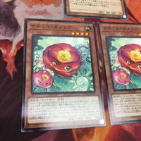 IT220905-2372 ナチュル・ナーブ DTノーマル DTC1-JP060 遊戯王 カメリア まとめ サムネイル 4