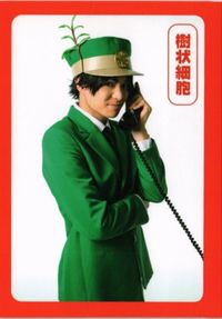 はたらく細胞 樹状細胞