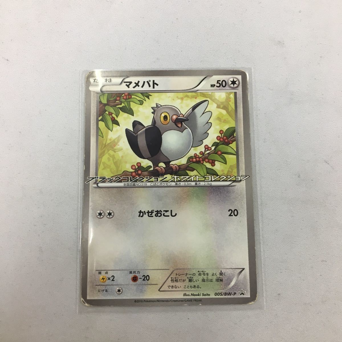 ポケモンカード 新裏面 プロモ マメパト 9