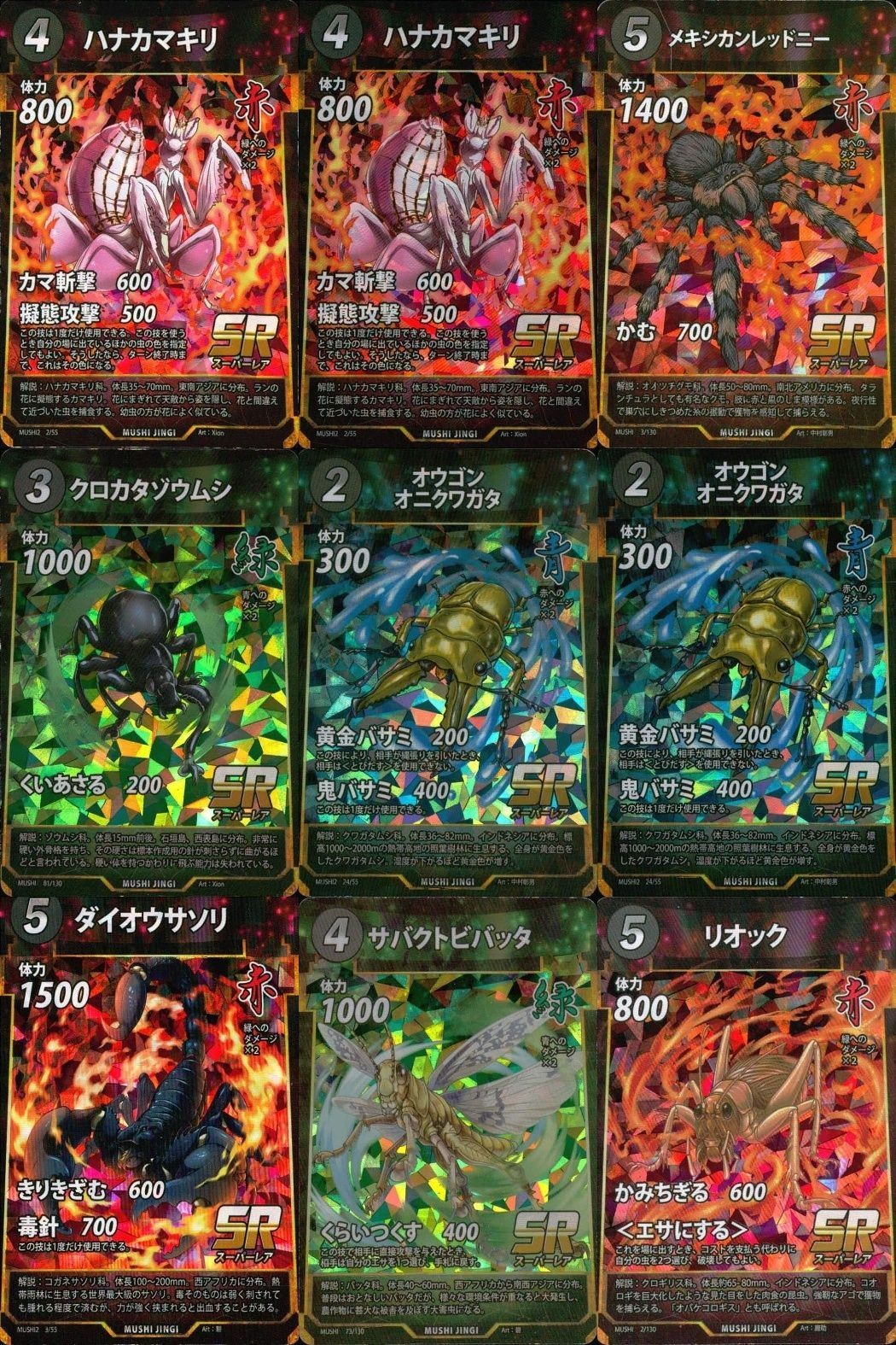 カード 蟲神器 SR まとめ スーパーレア ハナカマキリ ハナカマキリ メキシカンレッドニー クロカタゾウムシ オウゴン
オニクワガタ オウゴン
オニクワガタ ダイオウサソリ サバクトビバッタ リオック キラ レア