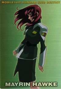 Gundam SEED Destiny Carddass Masters HR Card Lot Condition B