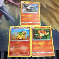 ポケモンカード 旧裏面 英語 海外版 3枚 バオップ ドンメル メラルバ 34