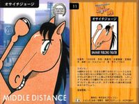 カード まとめ 馬なり1ハロン劇場 シアター バンブーメモリー ニッポーテイオー ニホンピロウイナー サクラチトセオー カミノクレッセ ブレクラスニー オサイチジョージ マヤノトップガン ステージチャンプ 競馬 馬 よしだみほ サムネイル 8