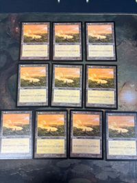 ウルザズ・サーガ 平地/Plains 10枚 日本語版 JP 型番統ー まとめ MTG 人気絵柄 基本土地 大量