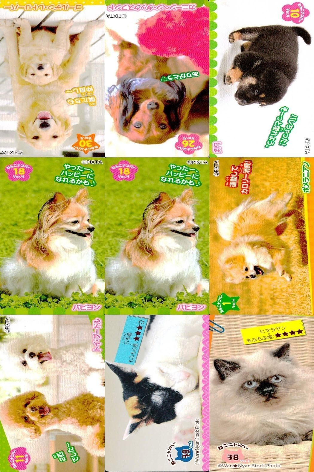 カード わんこ カード まとめ PIXTA 犬 猫 にゃんこ