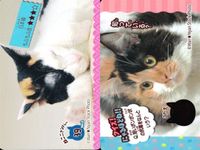 カード わんこ カード まとめ PIXTA 犬 猫 にゃんこ サムネイル 9