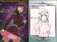 カード まとめ カードダスマスターズ ガンダムSEED シン・アスカ 01 02 04 ミリアリア・ハウ 31 ルナマリア・ホーク 12 アスラン・ザラ 06 サムネイル 5