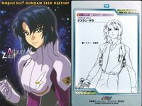 カード まとめ カードダスマスターズ ガンダムSEED シン・アスカ 01 02 04 ミリアリア・ハウ 31 ルナマリア・ホーク 12 アスラン・ザラ 06 サムネイル 6