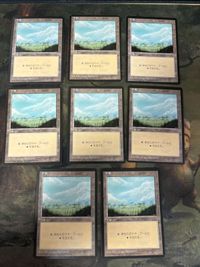 MTG Magic Plains Basic Land 8 Cards Japanese Lot