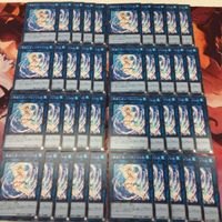 IT220224-571 海晶乙女 シーエンジェル 40枚 型番統一 マリンセス デッキ パーツ 遊戯王 ノーマル DP26-JP040 スリーブ用