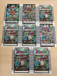 コガシラクワガタ 028-A ムシキング アダーコレクション まとめ 018-A ノコギリタテヅノカブト サンボンツノカブト 047-A 011-A ミヤマクワガタ サムネイル 6