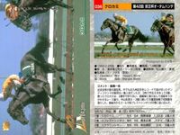 競馬 カード ホースレーシング まとめ ゲイリーイーグル スギノハヤカゼ クロカミ アグネスワールド アブクマポーロ ダンディコマンド タイキエルドラド アワパラゴン エリモシック サムネイル 4