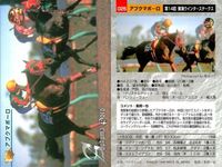 競馬 カード ホースレーシング まとめ ゲイリーイーグル スギノハヤカゼ クロカミ アグネスワールド アブクマポーロ ダンディコマンド タイキエルドラド アワパラゴン エリモシック サムネイル 6