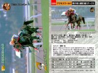 競馬 カード ホースレーシング まとめ ゲイリーイーグル スギノハヤカゼ クロカミ アグネスワールド アブクマポーロ ダンディコマンド タイキエルドラド アワパラゴン エリモシック サムネイル 5