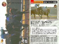 競馬 カード ホースレーシング まとめ ゲイリーイーグル スギノハヤカゼ クロカミ アグネスワールド アブクマポーロ ダンディコマンド タイキエルドラド アワパラゴン エリモシック サムネイル 8