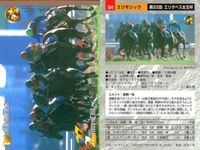 競馬 カード ホースレーシング まとめ ゲイリーイーグル スギノハヤカゼ クロカミ アグネスワールド アブクマポーロ ダンディコマンド タイキエルドラド アワパラゴン エリモシック サムネイル 10