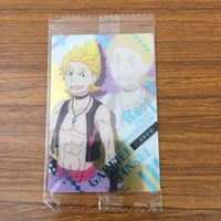 トレカ カード まとめ Re ゼロ から始める異世界生活 カーミラ プリシラ バーリエル レム ベアトリス ガーフィール ティンゼル 1 サムネイル 9