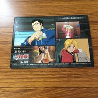 鋼の錬金術師 ハガレン カード トレカ カードダスマスターズ まとめ スカー 6 サムネイル 10