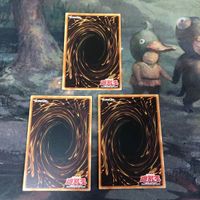 旧アジア版 1st ドリアードの祈り 3枚 ノーマル TLM-AE043 アジア版 亜版 英語版 遊戯王 サムネイル 5